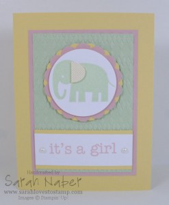 Sarah-AYSI-Challenge-011-Pastel-Zoo-Babies