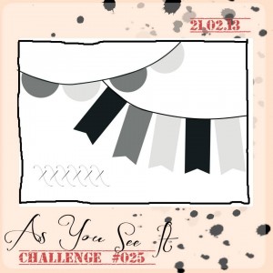 AYSI-Challenge-025