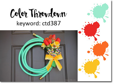 color throwdown 387